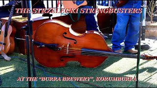 The Strzelecki Stringbusters in Korumburra [upl. by Adyam97]