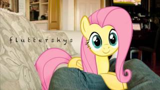 Fluttershys  FritzyBeat Owl City Ponified [upl. by Domash]