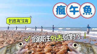 一起來海邊釣午仔魚吧🐟 假餌 路亞 岸拋 神奇小卷 根魚 四絲馬鮁 竹午 [upl. by Ramma]