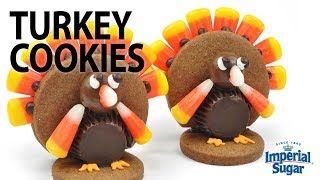 How To Make Thanksgiving Turkey Decorated Cookies for Kids [upl. by Hermina]