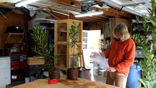 Paleoman Jim Rodgers packing plants for shipping at Nearly Native Nursery [upl. by Murry]