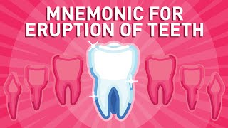 Eruption of Teeth  Mnemonic [upl. by Macmahon]