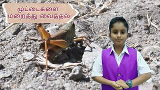 அறிவியல்  ஆண்டு 5  முட்டையிடும் விலங்குகளின் நீடுநிலவல்  SCIENCE  YEAR 5  SURVIVAL OF SPESIES [upl. by Evan]