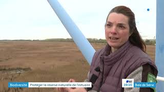 Découvrez la réserve naturelle de lestuaire de la Seine un joyau écologique menacé [upl. by Zysk]