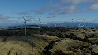 Harapaki Wind Farm is all go and delivering for NZ [upl. by Hagep677]