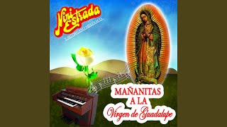 La Guadalupana Desde el Cielo [upl. by Laks]