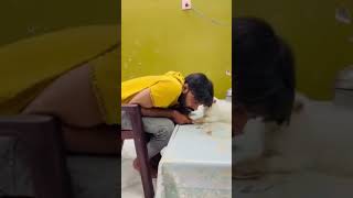 Kya hai iske andar Billu comedy 😂😂catlovercatloverscatshortssubscribe😂😂😂 [upl. by Nahsez]