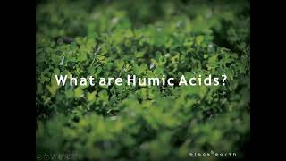 Humic  Webinar  TopKrop Fertilizers 2021 [upl. by Akit]