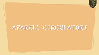 Aparell circulatori [upl. by Furlani311]