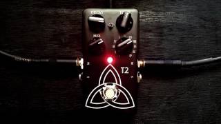 TC Electronic T2 Reverb Pedal Demo [upl. by Nivej892]