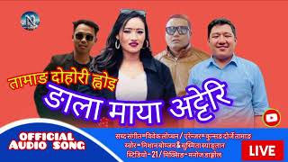 new tamang dohori song nishan bomjan tamang 2162024 [upl. by Chaffin]