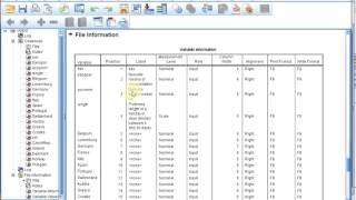 S01E0415 SPSS Basics  Codebook [upl. by Enra341]