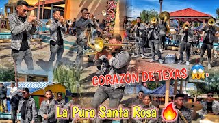 Corazón de Texas  Banda Puro Santa Rosa de Oaxaca 🔥 [upl. by Nesnah]