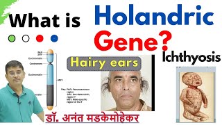 Holandric Inheritance  Holandric genes  Holandric Characters Genes on Y chromosome [upl. by Ettenna]