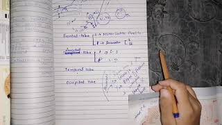 Somatosensory cortex part 2 guyton 48 function of somatosensory areas [upl. by Vastha647]