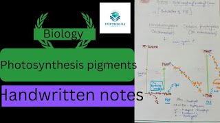 photosynthesis in plants part 2 l photosynthesisinhigherplantsclass11 l Role of chlorophyll l [upl. by Nakashima]