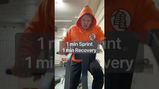 Echo Bike 1 min Sprint 1 min Recovery echobike garagegym homegym [upl. by Morentz]