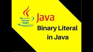 44 Binary Literal in Java [upl. by Fugate]