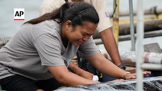 At least 26 dead in Philippine ferry accident [upl. by Stanhope]