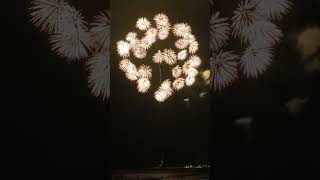 1012quotinch JAPAN display shell ghost ball thousand flowers peony w palm treefireworksvuurwerk [upl. by Sucramd]