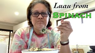 COOK amp EAT WITH FAYE  HOW I COOK PALUSAMI FROM SPINACH Polytube [upl. by Dew]