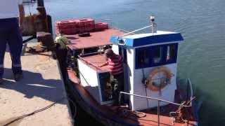 Ferry to Tavira Island and Tavira Beach [upl. by Analram331]