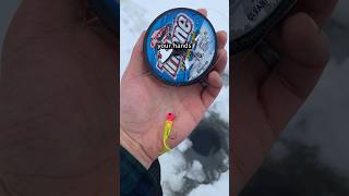 How to Ice Fish without Ice Fishing Equipment fishing shorts [upl. by Mccready875]