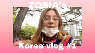 Studying in Korea KAIST 🌟let me introduce myself  quick vlog [upl. by Blaise423]