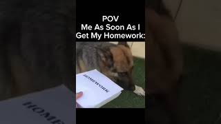 Pov Me As Soon As I Get My Homework relatable funny shorts [upl. by Aehsa321]