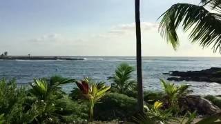 GRAND SIRENIS RESORT AND SPA RIVIERA MAYA MEXICO  DJI OSMO [upl. by Damara]