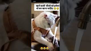 Khane wala chij hamesha dhoke khana chahie😂🤣😂subscribe like comment [upl. by Olegnaed]