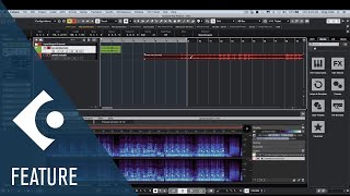 Enhanced ARA2 Functionality and SpectraLayers One  Walkthrough of the New Features in Cubase 11 [upl. by Egwan778]