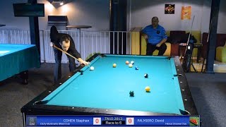 Stephan COHEN vs David PALMIERO  TN10 Tournoi National Billard 2013  Jeu de la 10 à Toulouse [upl. by Sibelle]