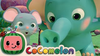 1 HOUR CoComelon Nursery Rhymes amp Kids Songs  The Sneezing Song [upl. by Gilberte172]