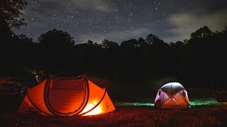 Chant des Grillons   Musique pour Dormir  Méditation  Relaxante [upl. by Marge]