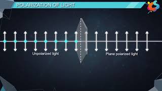 16  Class 12  Physics  Wave Optics  Polarisation [upl. by Banna]