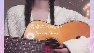 是想你的声音啊傲七爷 女生吉他翻唱 cover by Selena [upl. by Isolt482]