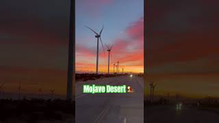 Mojave Desert 🏜️ [upl. by Yssirk]