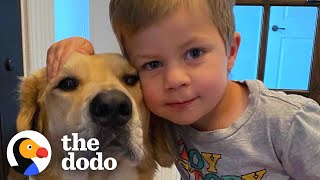 This Dog Is So Loyal He Checks Up On Toddler Every Night  The Dodo Soulmates [upl. by Tarrel]