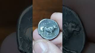 LUCANIA VELIA Silver Stater ca 365 BC Athena  Lion history monedas coin silver italy ancient [upl. by Nylodnew]