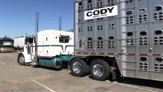 Stevens Inc Peterbilt 379 And Cody Cattle Pot Parking At TFK 2013 [upl. by Evot]