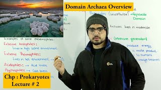 Archaea domain Archaea  Extremophiles [upl. by Meekahs]