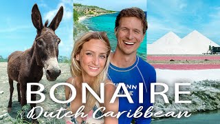 BONAIRE Travel Guide 🇧🇶 30 BEST things to do cost amp more  our vlog [upl. by Ahsatin838]