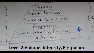 Muscle and Strength Training Pyramid Level 2 Volume Intensity Frequency [upl. by Anayd2]