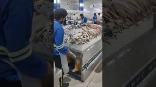 Dubai Fish Market A Seafood Lovers Ultimate Guide MustVisit [upl. by Wolfe]