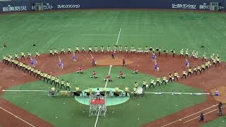 第54回3000人の吹奏楽 武庫川女子大学附属中学校・高等学校 [upl. by Meeker]