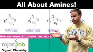 Amines in Organic Chemistry Assess Basicity and Master Nomenclature [upl. by Eilraep544]