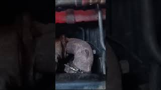 Exhaust manifold over heating shortsvideo ytshorts trending automobile reels truckdriver bus [upl. by Eilra]