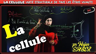 quotLa cellule  unité de base de tous les êtres vivantsquot 1AC [upl. by Ttirrej]