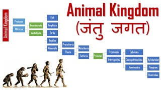 प्राणी या जन्तु जगत में मनुष्य का स्थान  Classification of Animal Kingdom  Primates  Anthropology [upl. by Cote]